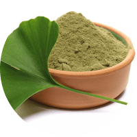 Экстрaкт листьeв гинкго билобы